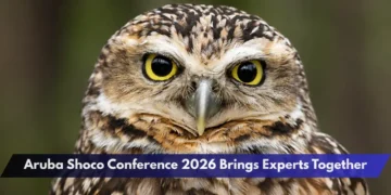 Aruba Shoco Conference 2026 Brings Experts Together Aruba Shoco Conference 2026 Brings Experts Together