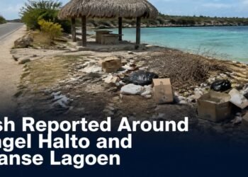 Discarded litter near a coastal palapa at Mangel Halto Aruba