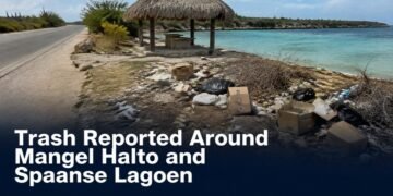 Trash Reported Around Mangel Halto and Spaanse Lagoen Discarded litter near a coastal palapa at Mangel Halto Aruba