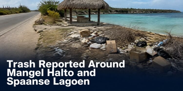 Discarded litter near a coastal palapa at Mangel Halto Aruba