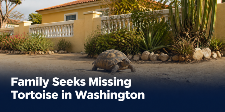 Family Seeks Missing Tortoise in Washington