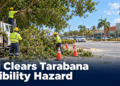 BCI Clears Tarabana Visibility Hazard