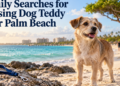 Family Searches for Missing Dog Teddy Near Palm Beach