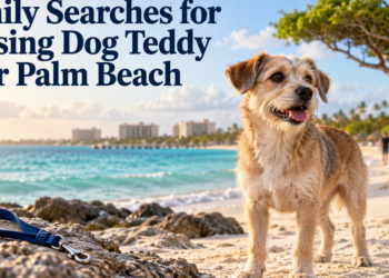 Family Searches for Missing Dog Teddy Near Palm Beach