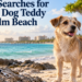 Family Searches for Missing Dog Teddy Near Palm Beach