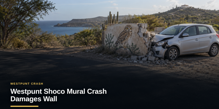 Westpunt Shoco Mural Crash Damages Wall