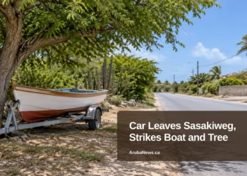 Car Leaves Sasakiweg, Strikes Boat and Tree — ArubaNews.ca featured image