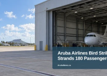 Aruba Airlines Bird Strike Strands 180 Passengers — ArubaNews.ca featured image