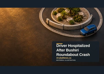 Editorial illustration of a miniature roundabout model with a generic car; not a map or photograph of the Bushiri crash.