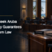 Parties Seek Aruba Autonomy Guarantees in Kingdom Law