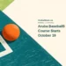 Aruba Baseball5 Course Starts October 19 Conceptual editorial illustration of an unmarked rubber ball and abstract court lines; not a photograph of the Baseball5 course, its participants or an actual venue.