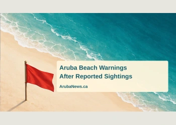 Conceptual editorial illustration of a red warning flag beside abstract sea and sand; not a photograph of the reported shark sightings or either beach.
