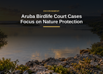 Aruba Birdlife Court Cases Address Isla di Oro and Off-Roading