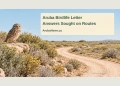 Birdlife Group Seeks Written Government Position on ATV Routes Conceptual editorial illustration of an owl and a generic track through dry vegetation; not a photograph, approved route map or evidence of an ATV violation.