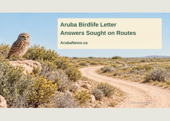 Conceptual editorial illustration of an owl and a generic track through dry vegetation; not a photograph, approved route map or evidence of an ATV violation.