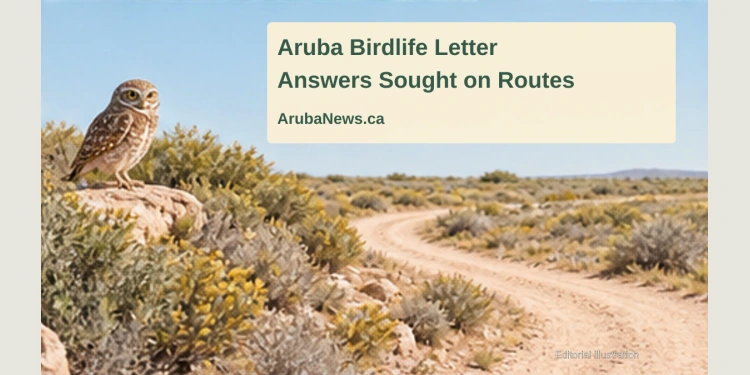 Conceptual editorial illustration of an owl and a generic track through dry vegetation; not a photograph, approved route map or evidence of an ATV violation.