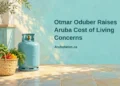 Conceptual editorial illustration of a small shopping basket with bread, vegetables and an unbranded household gas cylinder in a simple island kitchen, with the article headline and ArubaNews.ca branding.