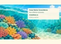 Conceptual editorial illustration of Caribbean coral, fish and turquoise water; not a map of proposed marine protected areas.