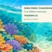 Conceptual editorial illustration of Caribbean coral, fish and turquoise water; not a map of proposed marine protected areas.