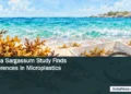 Aruba Sargassum Study Finds Differences in Microplastics Conceptual editorial illustration of sargassum beside a sample tray and magnifier on a Caribbean beach, with the article headline and ArubaNews.ca branding.