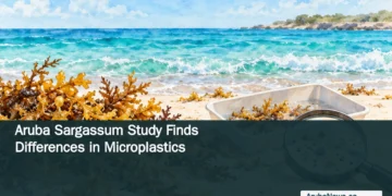 Conceptual editorial illustration of sargassum beside a sample tray and magnifier on a Caribbean beach, with the article headline and ArubaNews.ca branding.