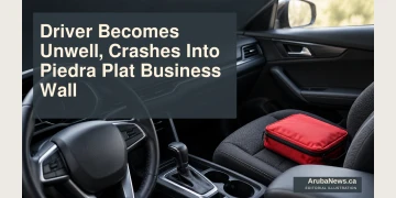 Editorial illustration of a steering wheel and first-aid pouch in an empty parked car; not the Piedra Plat collision.