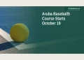 Editorial illustration of a Baseball5 rubber ball beside a painted hard-court line.