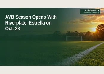 Editorial illustration of an empty football pitch and goal in late-afternoon light.