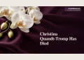 Christina Quandt-Tromp Has Died Memorial editorial illustration of white orchids against dark plum fabric.