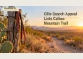 Editorial illustration of a dog lead beside a dry walking trail; not a photograph of Ollie or the actual search area.