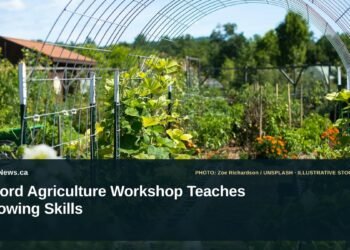 Illustrative stock photo for “Noord Agriculture Workshop Teaches Growing Skills”: Green plants growing in garden rows. Photo by Zoe Richardson via Unsplash; not a photograph of the specific event. Headline and ArubaNews.ca branding appear in a lower-third news tile.