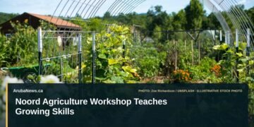Illustrative stock photo for “Noord Agriculture Workshop Teaches Growing Skills”: Green plants growing in garden rows. Photo by Zoe Richardson via Unsplash; not a photograph of the specific event. Headline and ArubaNews.ca branding appear in a lower-third news tile.