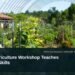 Illustrative stock photo for “Noord Agriculture Workshop Teaches Growing Skills”: Green plants growing in garden rows. Photo by Zoe Richardson via Unsplash; not a photograph of the specific event. Headline and ArubaNews.ca branding appear in a lower-third news tile.