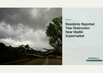 Illustrative stock photograph for “Residents Reported Tree Obstruction Near Madiki Supermarket”: Tree blocking a road; illustrative stock, not the Madiki obstruction. Photograph by Quick PS via Unsplash. This is not a photograph of the specific Aruba news event.