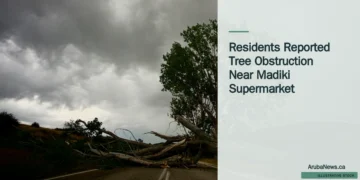 Illustrative stock photograph for “Residents Reported Tree Obstruction Near Madiki Supermarket”: Tree blocking a road; illustrative stock, not the Madiki obstruction. Photograph by Quick PS via Unsplash. This is not a photograph of the specific Aruba news event.