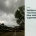 Illustrative stock photograph for “Residents Reported Tree Obstruction Near Madiki Supermarket”: Tree blocking a road; illustrative stock, not the Madiki obstruction. Photograph by Quick PS via Unsplash. This is not a photograph of the specific Aruba news event.