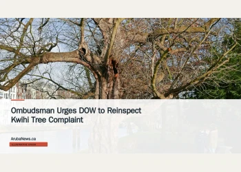 Illustrative stock photograph for “Ombudsman Urges DOW to Reinspect Kwihi Tree Complaint”: Photo of a huge old tree in the city park Wertheimpark, in Amsterdam city. The tree trunk is just along the border of the old canal, reflecting the blue sky in the water. It is a sunny day in town with a light blue sky. This is a popular place for young people to come together and talk. And for the ducks to find some bread crumbs. Pictures of Amsterdam city - Dutch trees in free nature photo by Fons Heijnsbroek, Netherlands. Photograph by Fons Heijnsbroek via Unsplash. This is not a photograph of the specific Aruba news event.