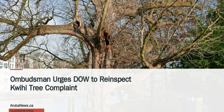 Ombudsman Urges DOW to Reinspect Kwihi Tree Complaint Illustrative stock photograph for “Ombudsman Urges DOW to Reinspect Kwihi Tree Complaint”: Photo of a huge old tree in the city park Wertheimpark, in Amsterdam city. The tree trunk is just along the border of the old canal, reflecting the blue sky in the water. It is a sunny day in town with a light blue sky. This is a popular place for young people to come together and talk. And for the ducks to find some bread crumbs. Pictures of Amsterdam city - Dutch trees in free nature photo by Fons Heijnsbroek, Netherlands. Photograph by Fons Heijnsbroek via Unsplash. This is not a photograph of the specific Aruba news event.