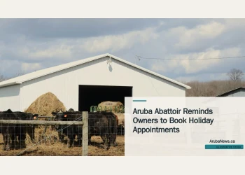Illustrative stock photograph for “Aruba Abattoir Reminds Owners to Book Holiday Appointments”: Cattle near barn; illustrative stock, not the Aruba abattoir. Photograph by Roger Starnes Sr. via Unsplash. This is not a photograph of the specific Aruba news event.
