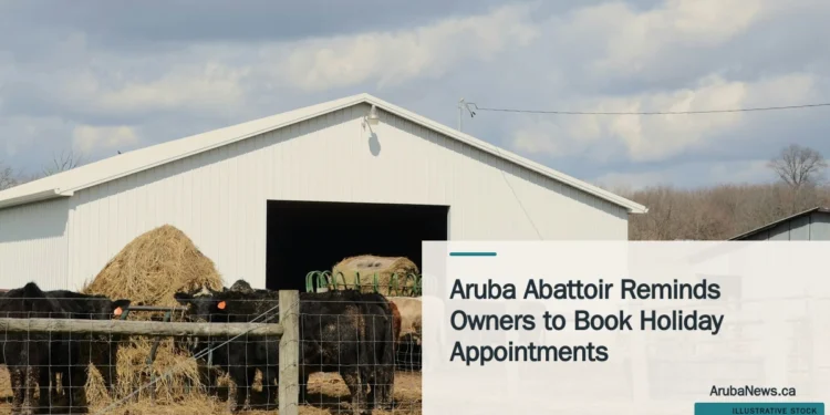 Illustrative stock photograph for “Aruba Abattoir Reminds Owners to Book Holiday Appointments”: Cattle near barn; illustrative stock, not the Aruba abattoir. Photograph by Roger Starnes Sr. via Unsplash. This is not a photograph of the specific Aruba news event.