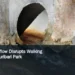 Illustrative stock photograph for “Sewer Overflow Disrupts Walking Path at Jaburibari Park”: Water pipe flowing into a stream; illustrative, not Jaburibari Park. Photograph by Abdullah Wafiyy via Unsplash. This is not a photograph of the specific Aruba news event.