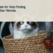 Family Appeals for Help Finding Cat Tuna in San Nicolas Illustrative stock photograph for “Family Appeals for Help Finding Cat Tuna in San Nicolas”: Ragdoll cat Photograph by Anna via Unsplash. This is not a photograph of the specific Aruba news event.