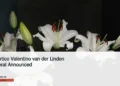 Albertico Valentino van der Linden Funeral Announced Illustrative stock photograph for “Albertico Valentino van der Linden Funeral Announced”: a group of white flowers Photograph by Bernd 📷 Dittrich via Unsplash. This is not a photograph of the specific Aruba news event.