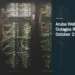 Aruba Website Outages Reported on October 21 Illustrative stock photograph for “Aruba Website Outages Reported on October 21”: cable network Photograph by Taylor Vick via Unsplash. This is not a photograph of the specific Aruba news event.