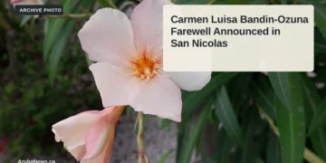 Flowers in a garden in Tanki Leendert, Aruba; archive photo, not connected to the family or funeral.