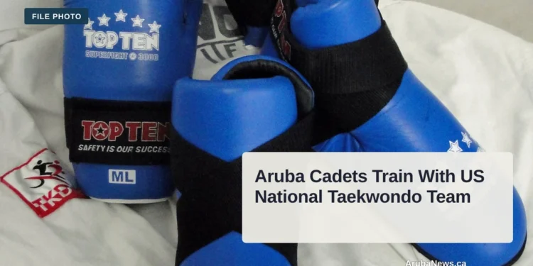 Taekwondo sparring equipment in a dojang; illustrative file photo, not the Aruba or US team training session.