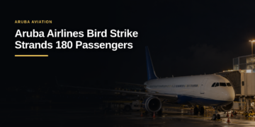 Aruba Airlines Bird Strike Strands 180 Passengers