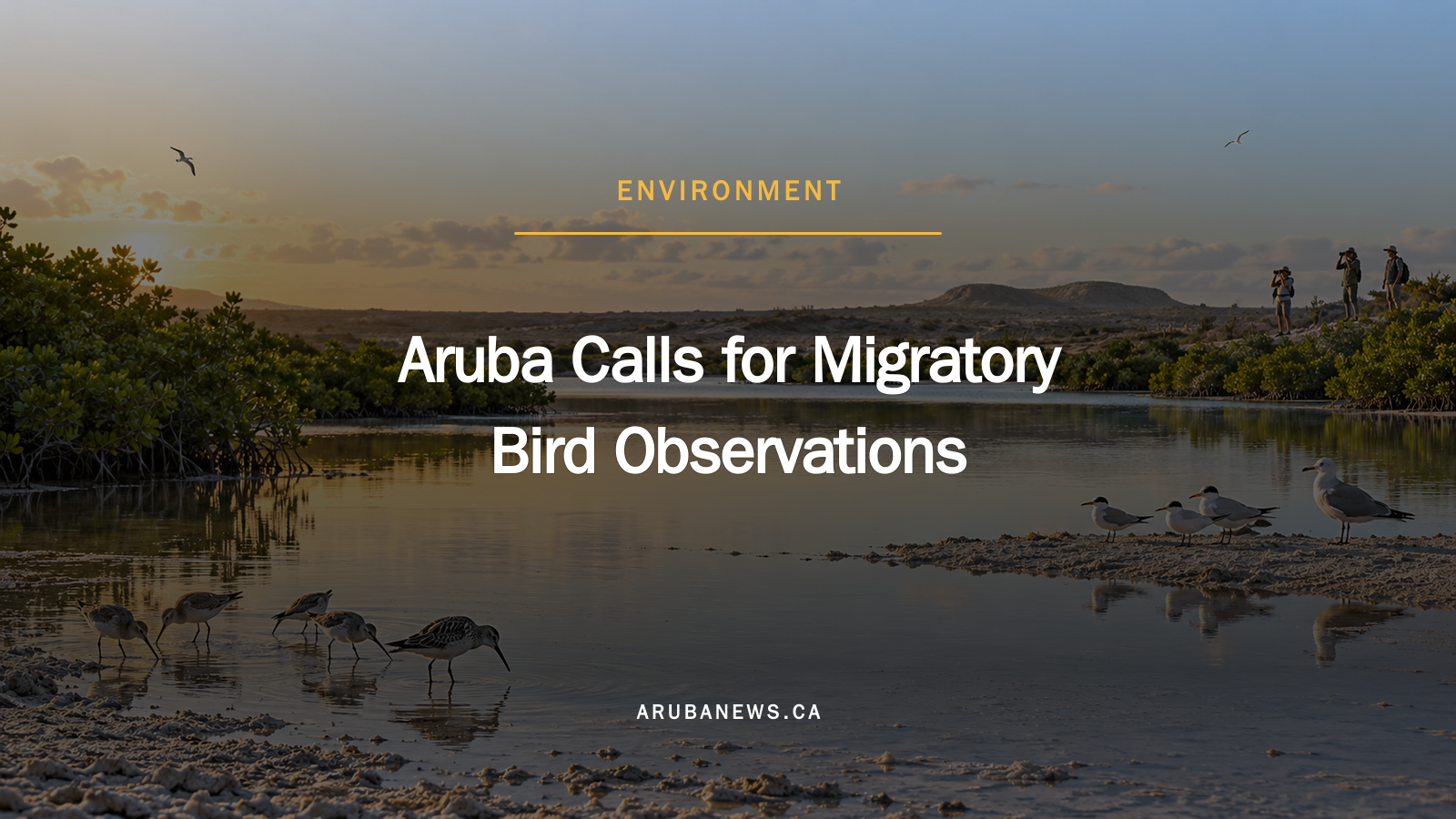 Aruba Calls for Migratory Bird Observations