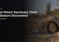 First Shoco Sanctuary Chick of Season Discovered First Shoco Sanctuary Chick of Season Discovered