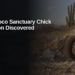 First Shoco Sanctuary Chick of Season Discovered